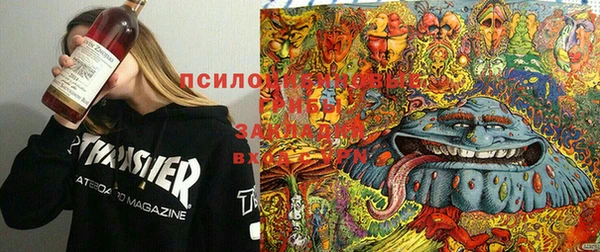 синтетический гашиш Болхов