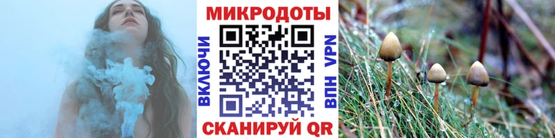 дарнет шоп  Алагир  Псилоцибиновые грибы MAGIC MUSHROOMS 